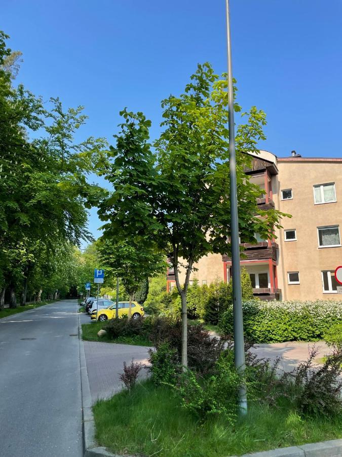 Apartament Marcowy